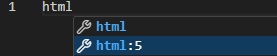 HTML 5