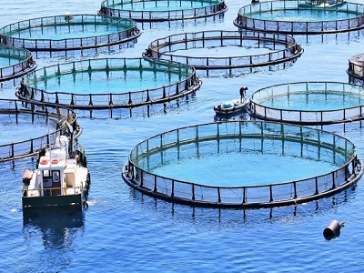 Aquicultura