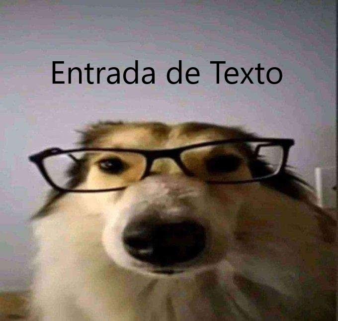 Entrada de Texto